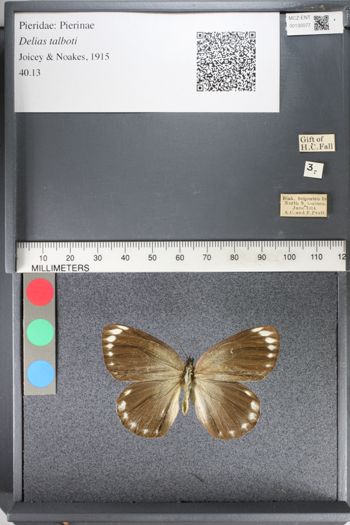 Media type: image;   Entomology 130077